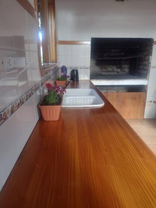 Luminosa Con Jardin, Zona Tranquila Apartamento *